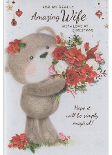 For My Really Amazing Wife With Love At Christmas